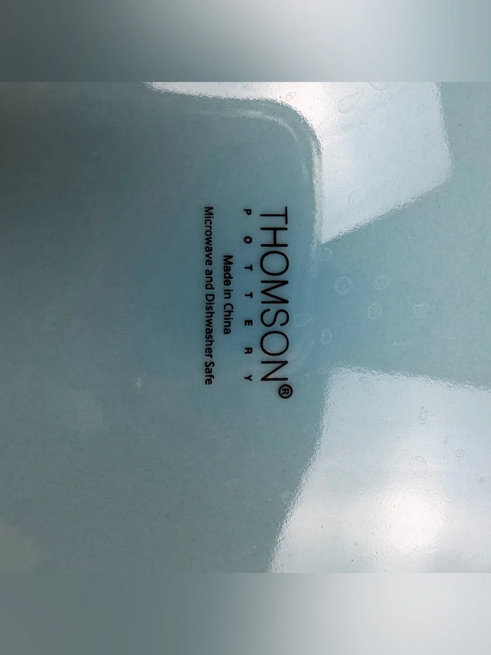 Thomson Seafoam Blue Seashell Embossed Ceramic Dinner Plate Set